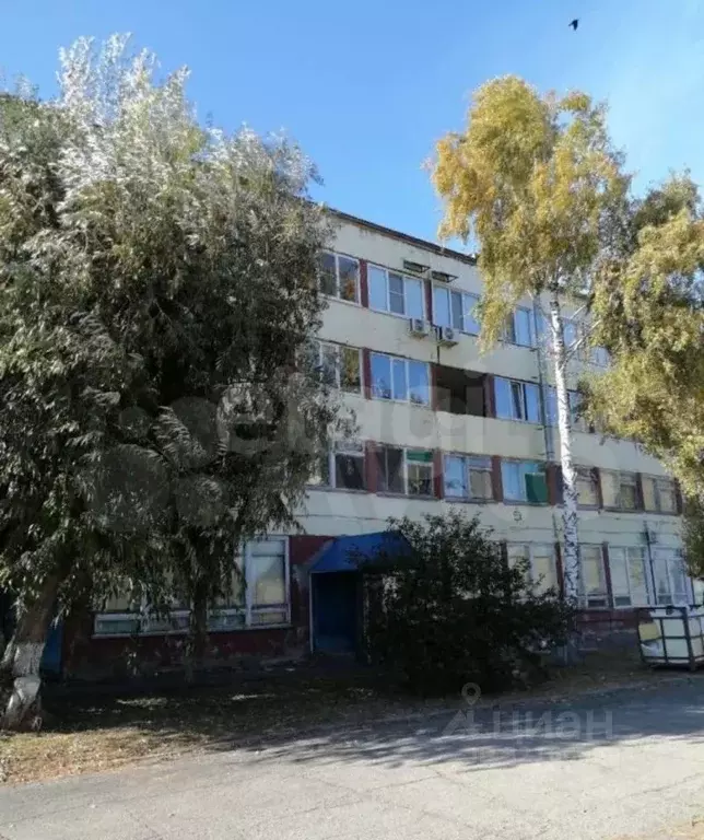 Помещение свободного назначения в Саратовская область, Калининск ул. ... - Фото 1