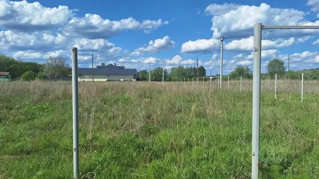 Участок в Оренбургская область, Бузулукский район, Сухореченский ... - Фото 1