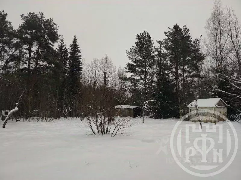 Участок в Ленинградская область, Ломоносовский район, Пениковское ... - Фото 2