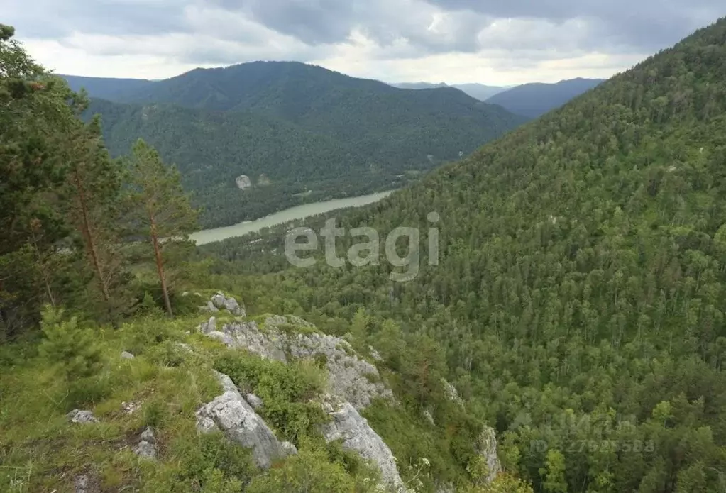 Участок в Алтай, Майминский район, с. Соузга  (6.0 сот.) - Фото 1