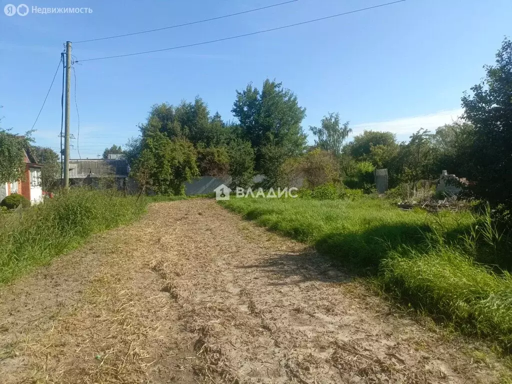 Участок в посёлок Шоссейное, Лесная улица, 9 (9.2 м) - Фото 1