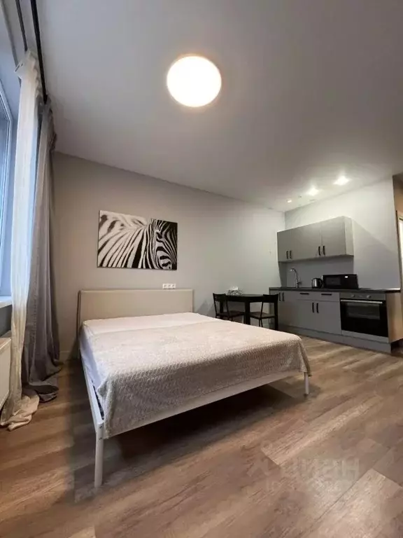 Студия Московская область, Химки городской округ, д. Рузино, ... - Фото 2