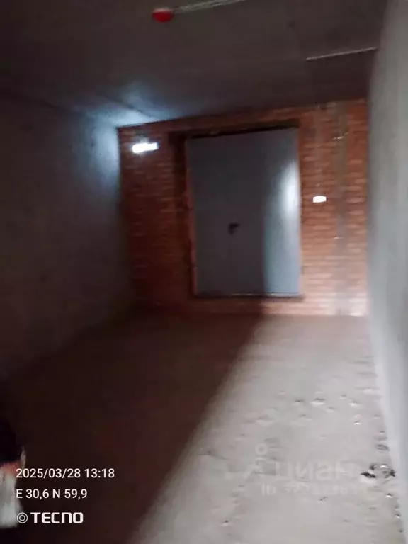 Помещение свободного назначения в Ленинградская область, Всеволожский ... - Фото 1