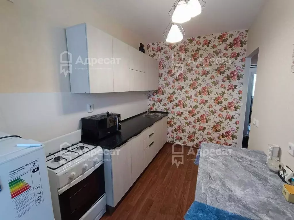 1-к кв. Волгоградская область, Волгоград ул. Имени Гвардии Капитана ... - Фото 2