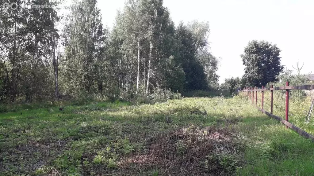 Участок в Нижегородская область, городской округ Сокольский, деревня ... - Фото 0