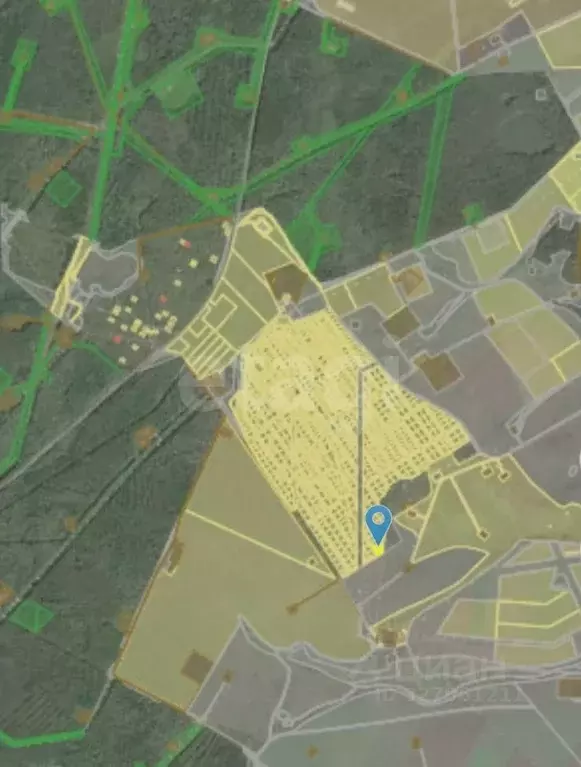 Участок в Татарстан, Альметьевский район, Новокашировское с/пос, Алнас ... - Фото 1