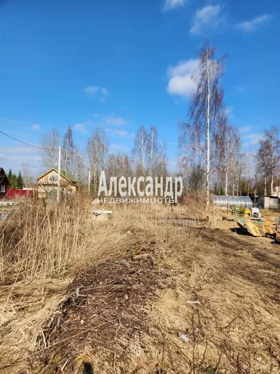 Участок в Ленинградская область, Киришский район, Глажевское с/пос, ... - Фото 1