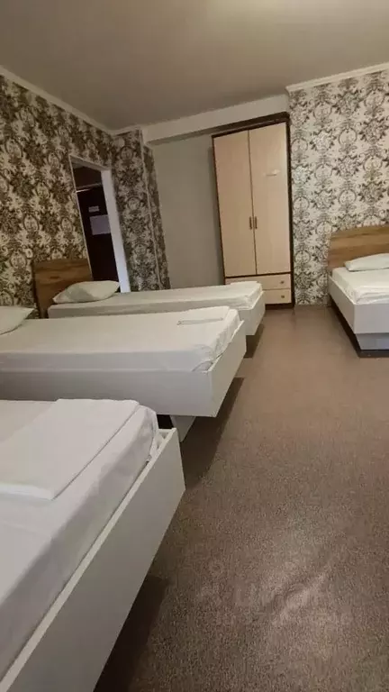 1-к кв. Оренбургская область, Орск Новый город мкр, пер. Волховский, 3 ... - Фото 1