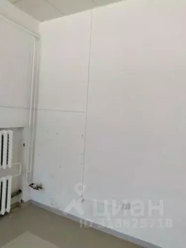 Помещение свободного назначения в Пензенская область, Заречный ... - Фото 1
