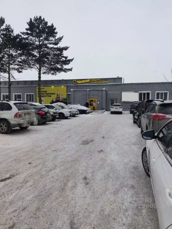 Помещение свободного назначения в Новосибирская область, Новосибирский ... - Фото 1