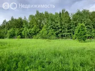 Участок в Сергиево-Посадский городской округ, ДНП Дивный (20 м) - Фото 1