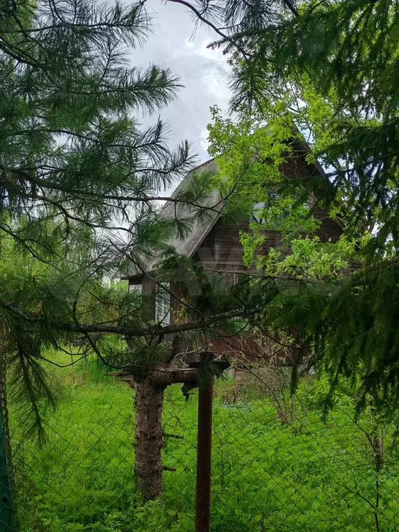 Дача 30 м на участке 6,6 сот. - Фото 0