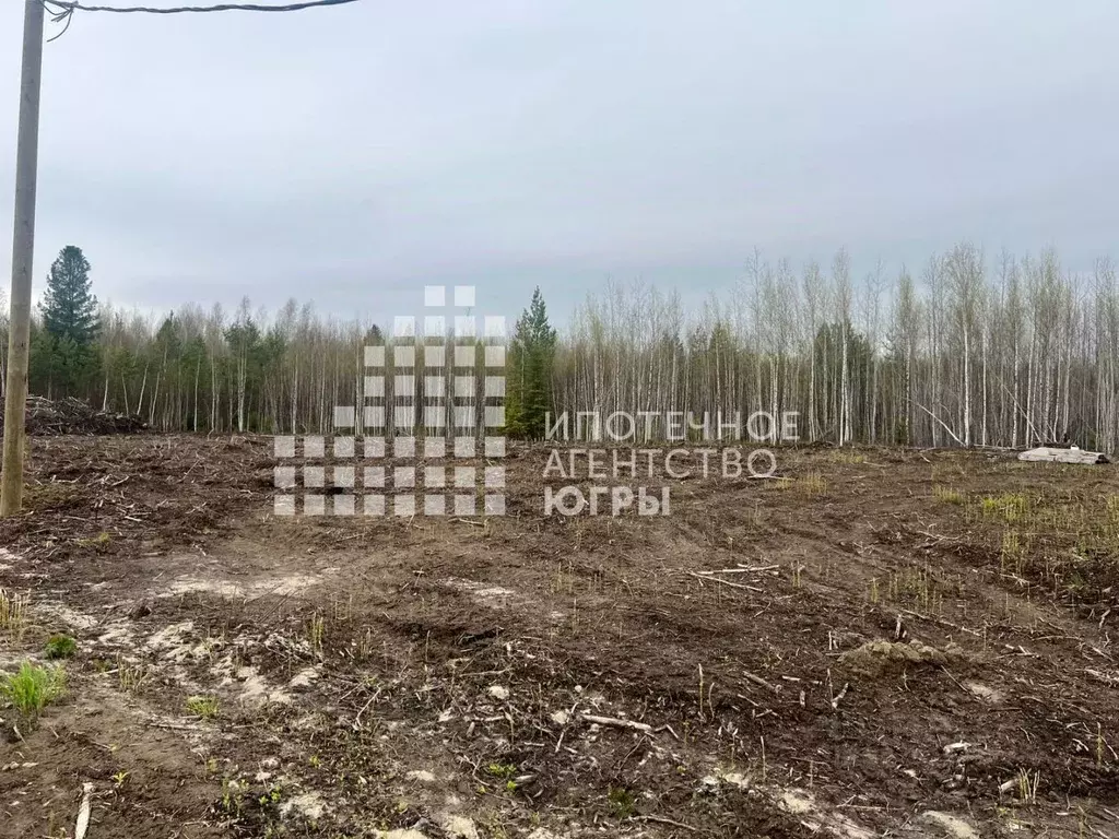 Участок в Ханты-Мансийский АО, Ханты-Мансийск Мир СОНТ,  (15.0 сот.) - Фото 1