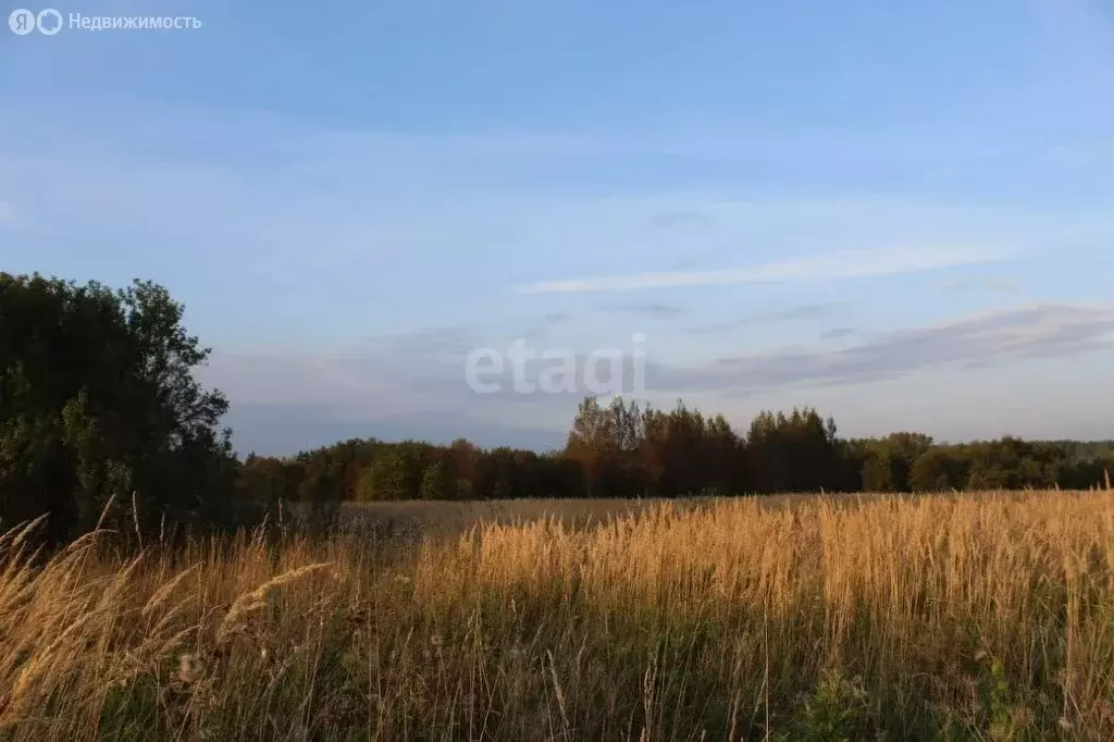 Участок в муниципальное образование Пушкиногорье, деревня Подкрестье ... - Фото 0