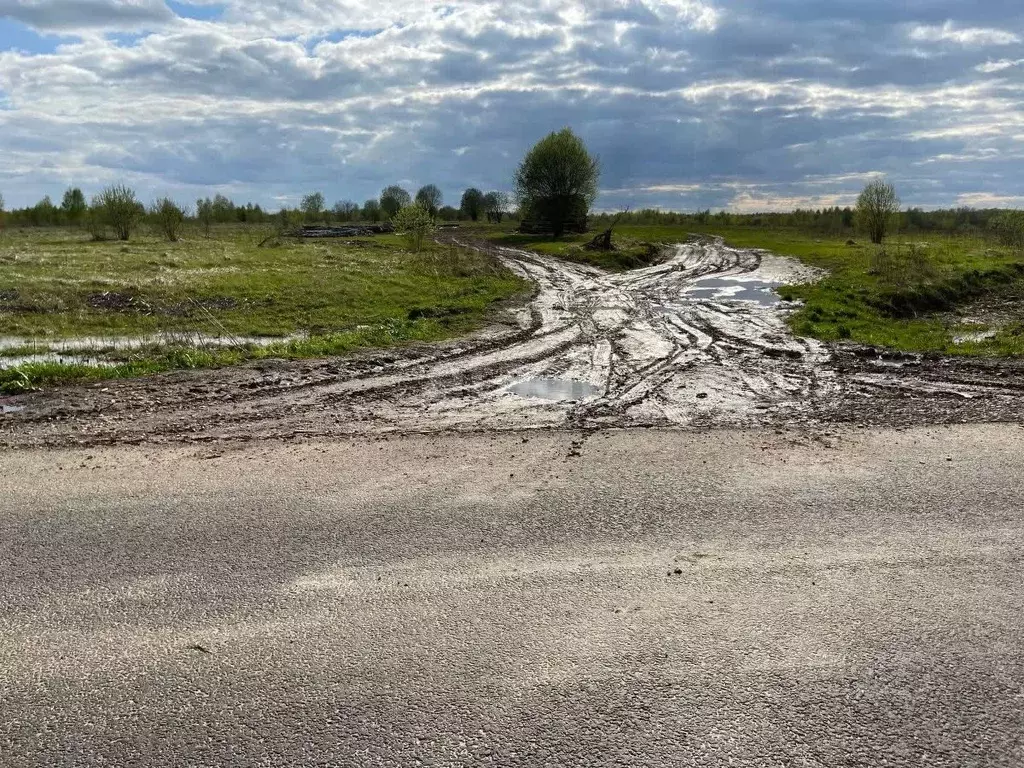 Участок в Калужская область, Малоярославецкий район, Березовка с/пос, ... - Фото 2