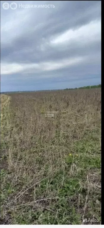 Участок в Липецкий муниципальный округ, село Ленино (14.5 м) - Фото 1