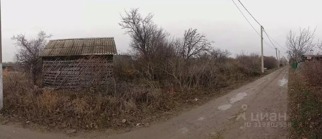 Участок в Краснодарский край, Тимашевск Строитель СОТ, 10 (5.0 сот.) - Фото 0