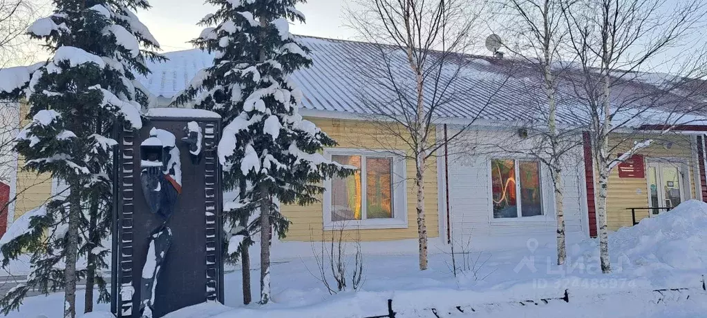 Помещение свободного назначения в Ямало-Ненецкий АО, Красноселькупский ... - Фото 1