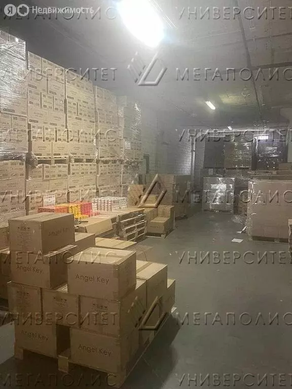 Склад (1100 м) - Фото 2