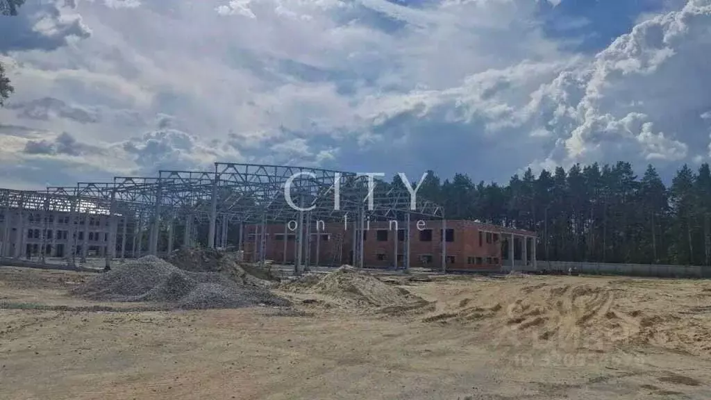 Склад в Тюменская область, Тюменский район, Боровский пгт ул. ... - Фото 1