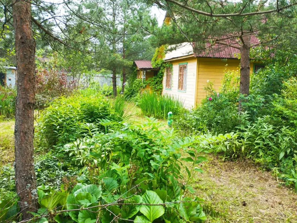 Дом в Санкт-Петербург, Санкт-Петербург, Павловск Контакт СНТ,  (60 м) - Фото 0