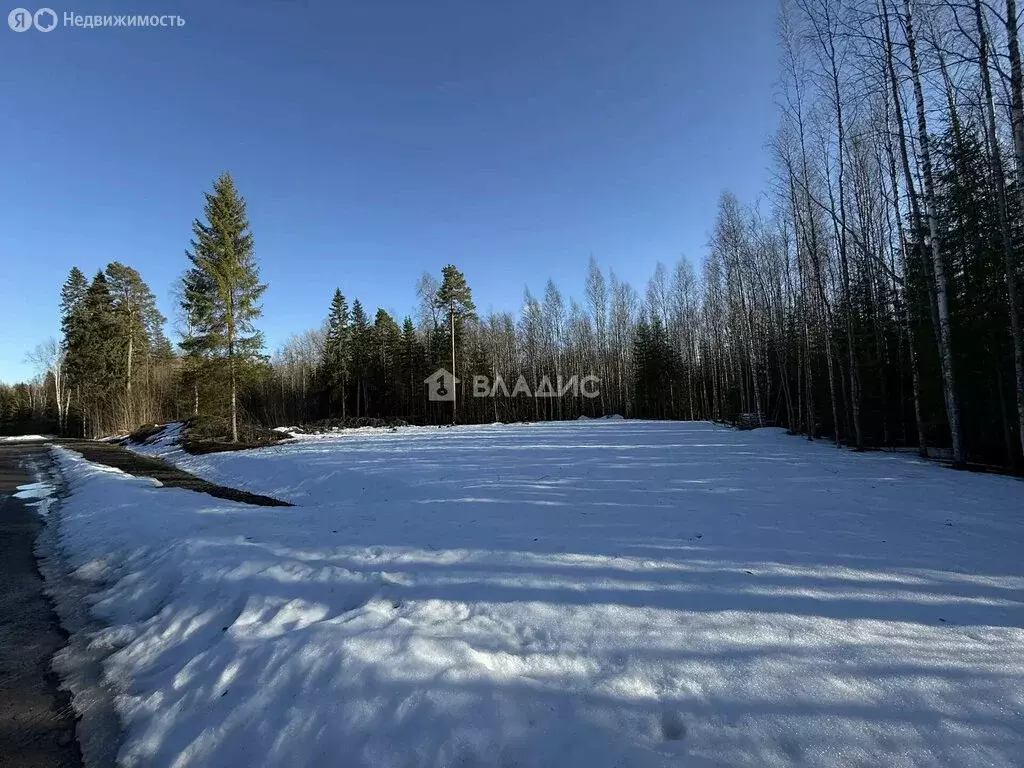 Участок в Нововилговское сельское поселение, СНТ Ветеран-3, 89 (11 м) - Фото 1