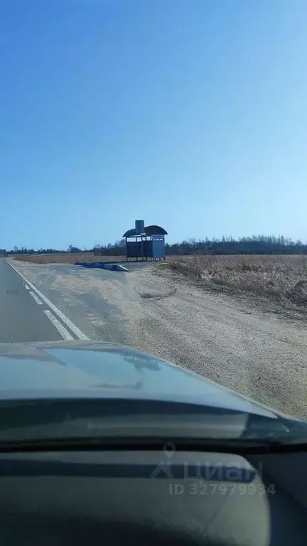 Участок в Псковская область, Печорский муниципальный округ, д. ... - Фото 2