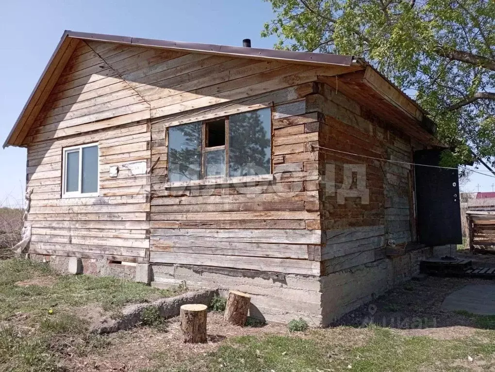 Участок в Новосибирская область, Ордынский район, с. Кирза ... - Фото 1