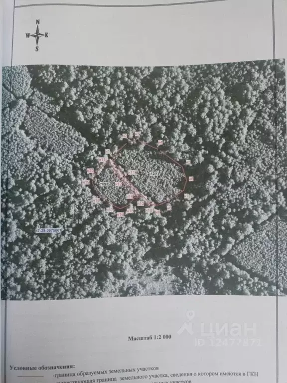 Участок в Ленинградская область, Лужский район, Осьминское с/пос, д. ... - Фото 2