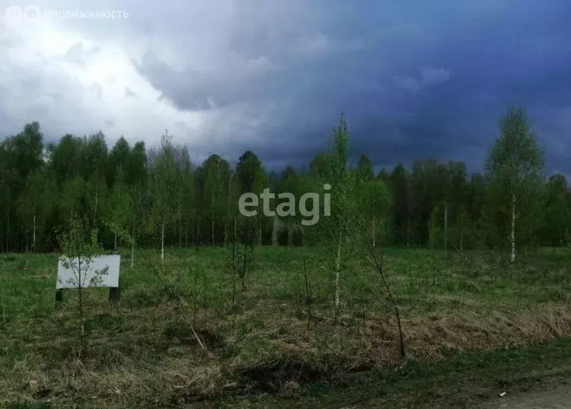 Участок в Томский район, ДНТ Новые Вешки, Цветочная улица (7.4 м) - Фото 1