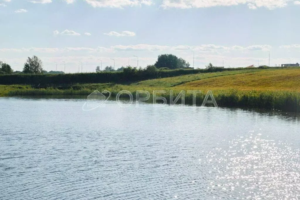 Участок в Тюменская область, Тюменский муниципальный округ, Онегин кп  ... - Фото 1