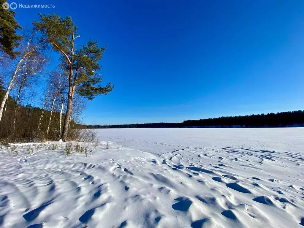 Участок в Гдовский район, Самолвовская волость, деревня Озера (32 м) - Фото 1