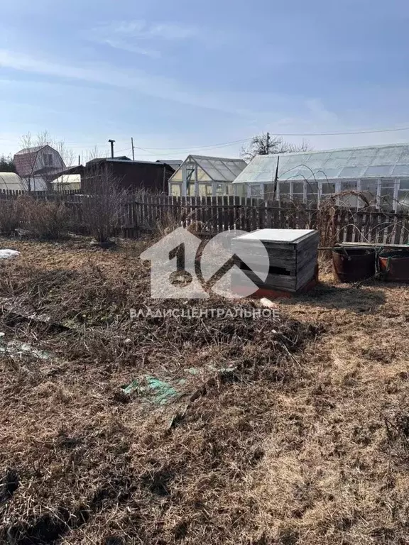 Участок в Новосибирская область, Новосибирск Маяк СНТ, ул. Основная, ... - Фото 0