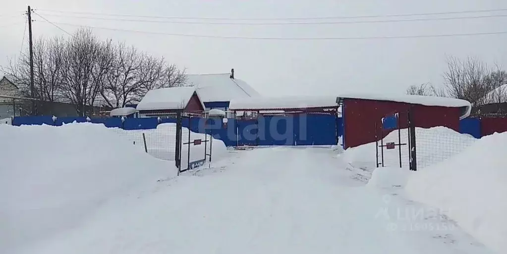 Дом в Мордовия, Дубенский район, с. Поводимово Рабочая ул., 94 (68 м) - Фото 1