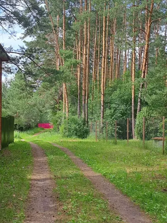 Участок 10 сот. (СНТ, ДНП) - Фото 1
