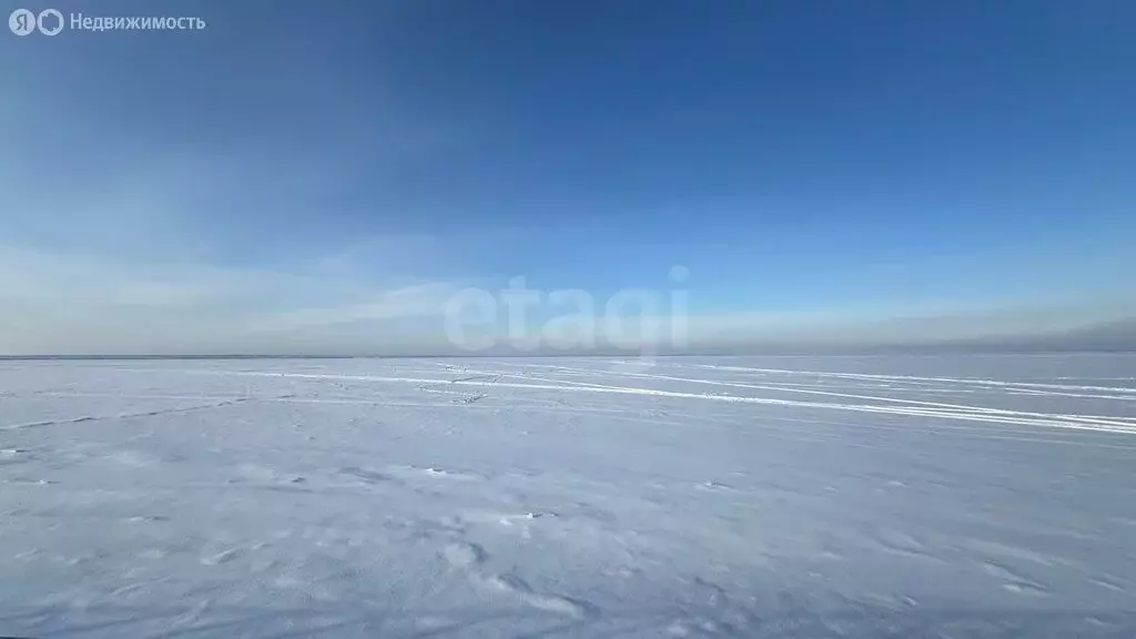 Участок в Нижегородская область, муниципальный округ Сокольский, село ... - Фото 1