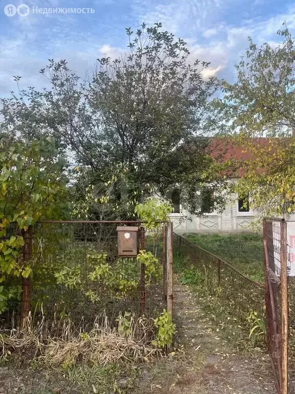Участок в Казинка, Советская улица (14 м) - Фото 0