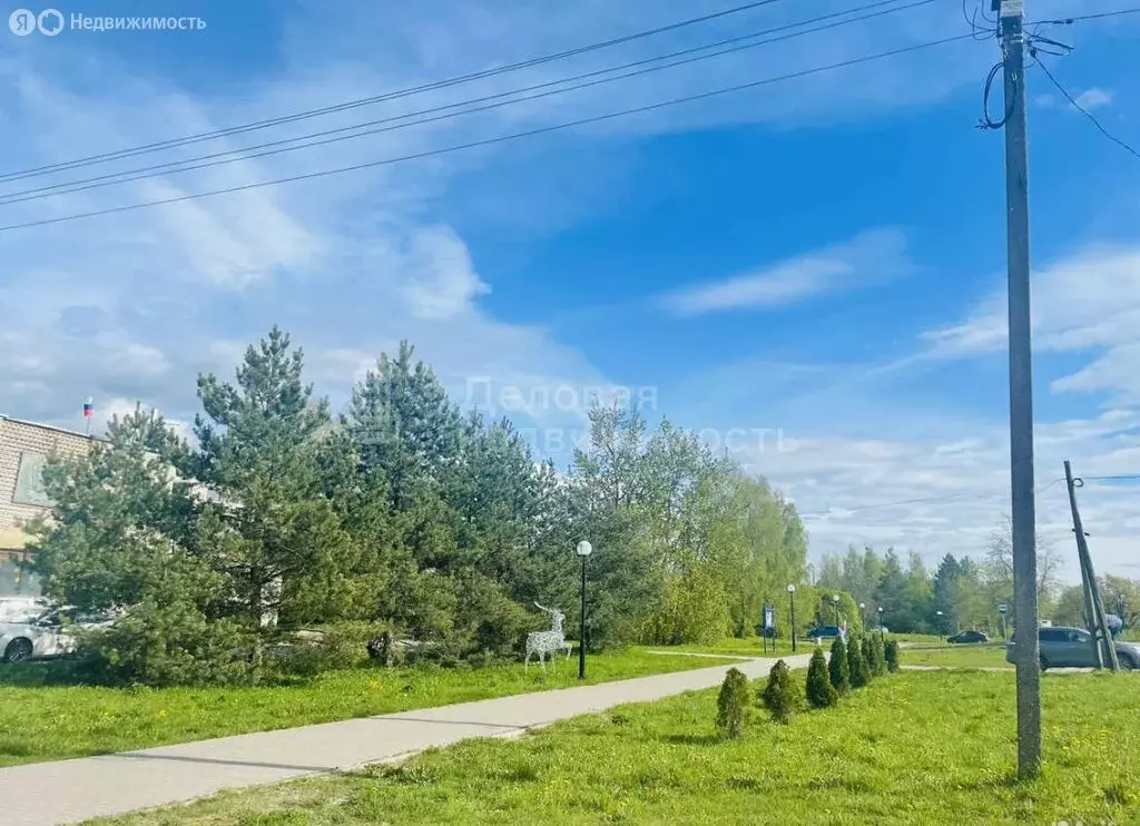 Дом в деревня Савино, Школьная улица, 14 (47.6 м) - Фото 2