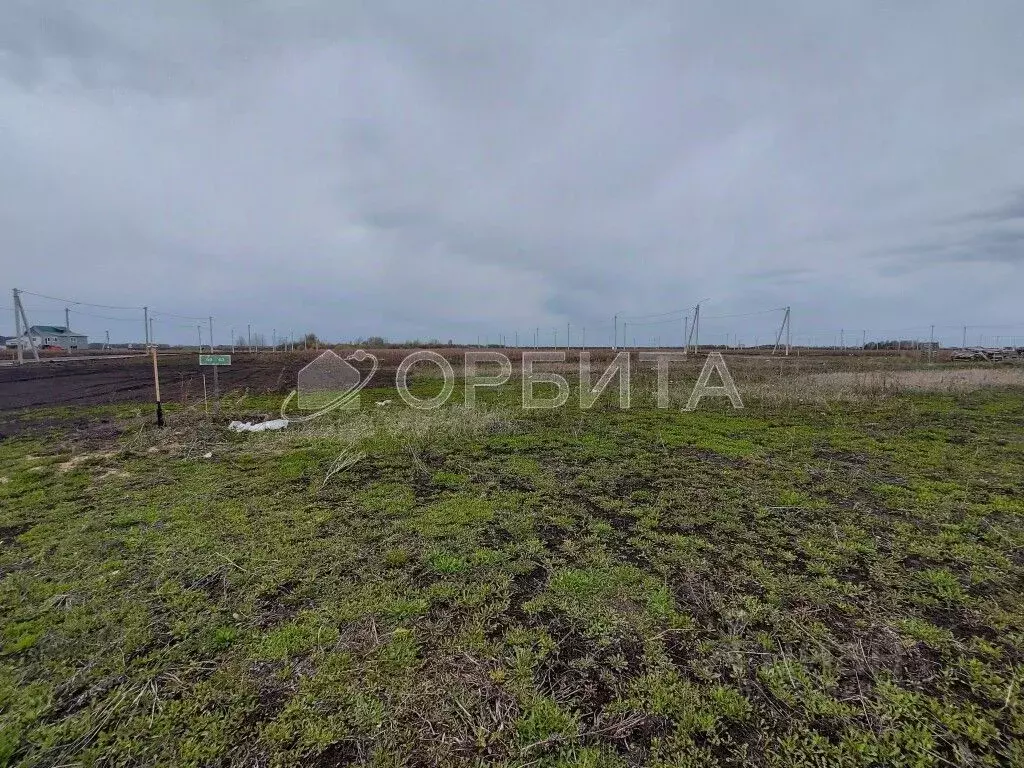 Участок в Тюменская область, Тюменский район, с. Кулига ул. ... - Фото 1