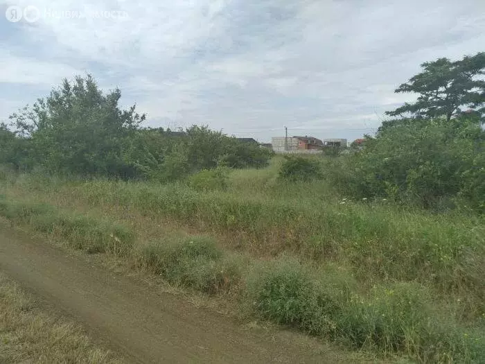 Участок в Окунёвское сельское поселение, село Знаменское (100 м) - Фото 1