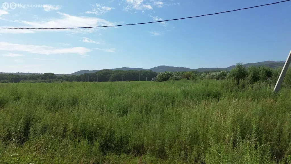 Участок в Артём, улица Павла Познякова, 54 (12.259999 м) - Фото 0
