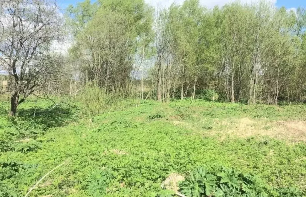 2-комнатная квартира: Старица, Северная улица, 5 (40 м) - Фото 2