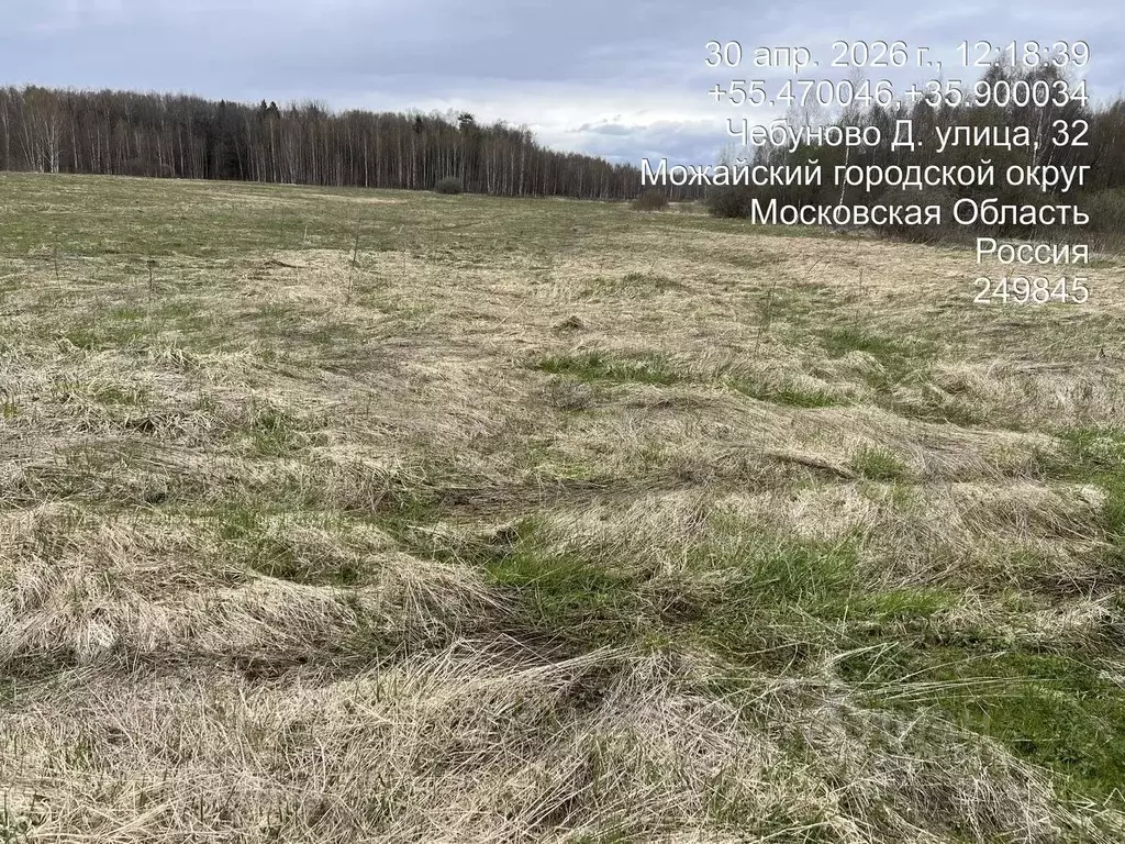 Участок в Московская область, Можайский муниципальный округ, д. ... - Фото 1