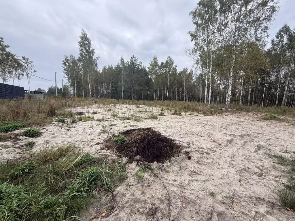 Участок в Брянская область, Брянский район, Нетьинское с/пос, д. ... - Фото 2