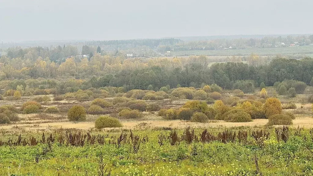 Участок в Московская область, Дмитровский муниципальный округ, с. ... - Фото 2