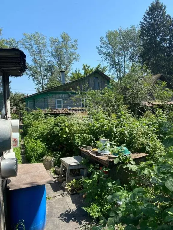 Дом в Курская область, Курск ул. 2-я Силикатная, 24 (60 м) - Фото 1