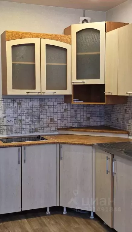 Студия Ленинградская область, Сертолово Всеволожский район, ... - Фото 2
