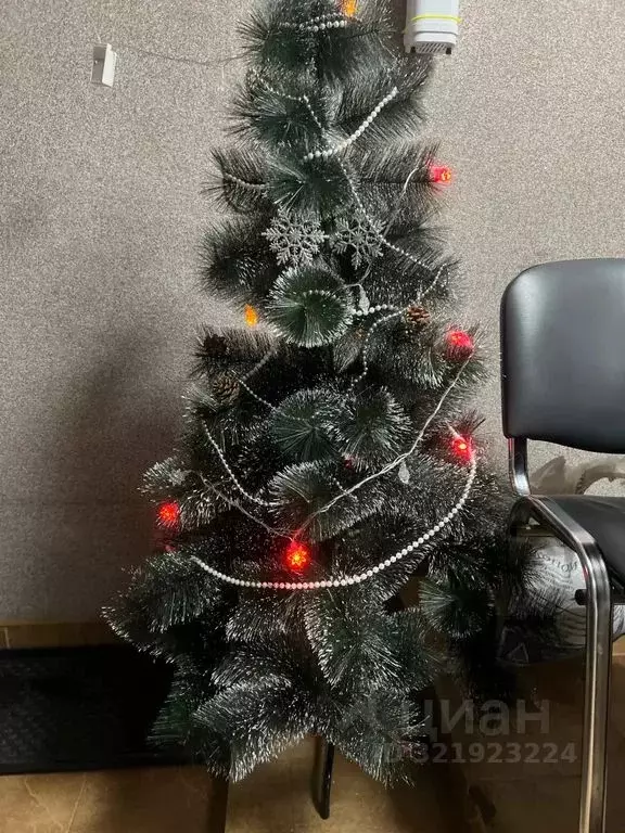 Комната Татарстан, Казань ул. Япеева, 10 - Фото 1