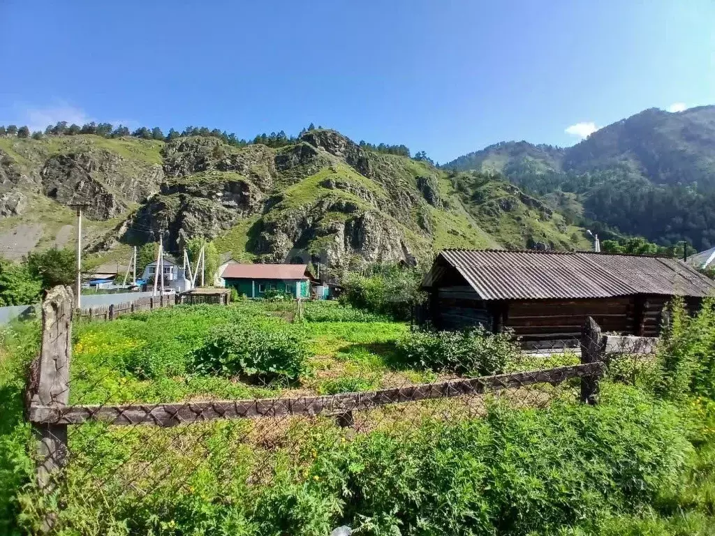Участок в Алтай, Чемальский район, с. Чемал Луговая ул. (7.0 сот.) - Фото 1