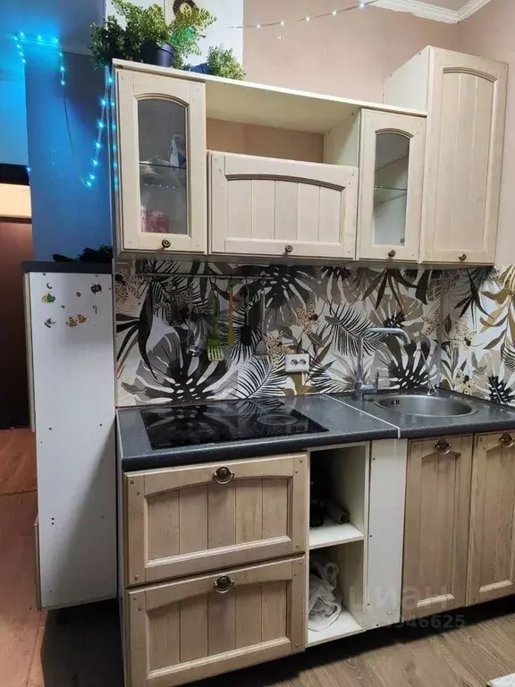 1-к кв. Санкт-Петербург просп. Ветеранов, 169к1 (23.0 м) - Фото 1